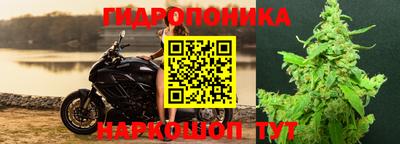 гидропоника Гагарин