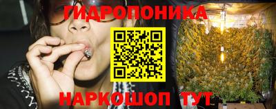 ПСИЛОЦИБИНОВЫЕ ГРИБЫ Гай