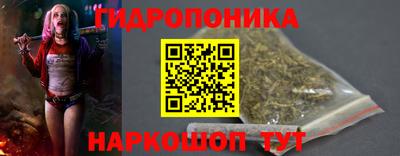 ПСИЛОЦИБИНОВЫЕ ГРИБЫ Гай