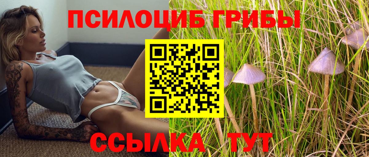 Псилоцибиновые грибы мицелий Коммунар
